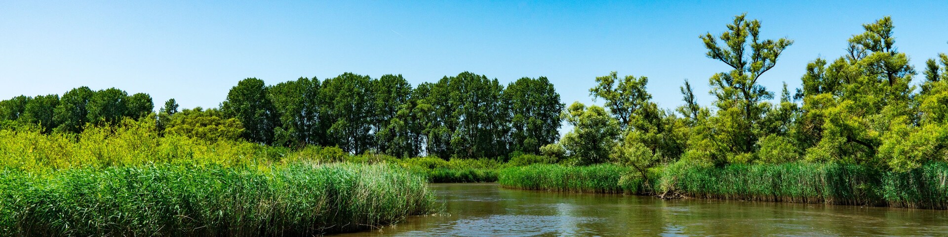river Amer. National park Hollandse Biesbosch. Drimmelen. The Netherlands