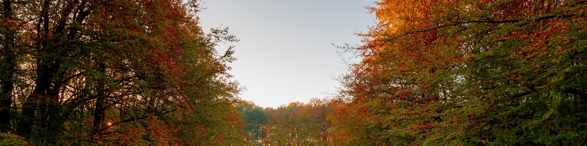 A wooden bridge with a white railing leading to a calm lake surrounded by autumn-colored trees.