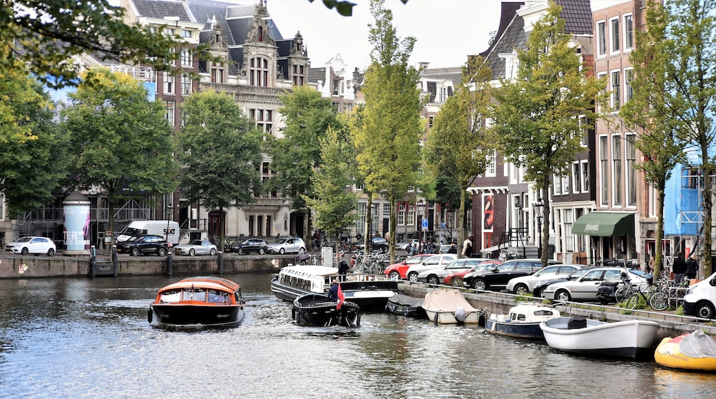 Municipio de Haarlem