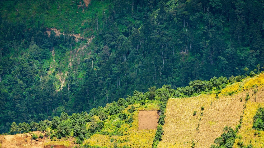 Hillside farming in Guatemala on steep ridges in patchwork shapes