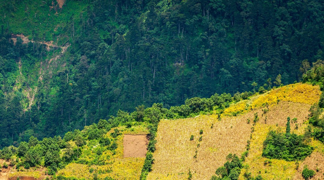 San Pedro Sacatepéquez