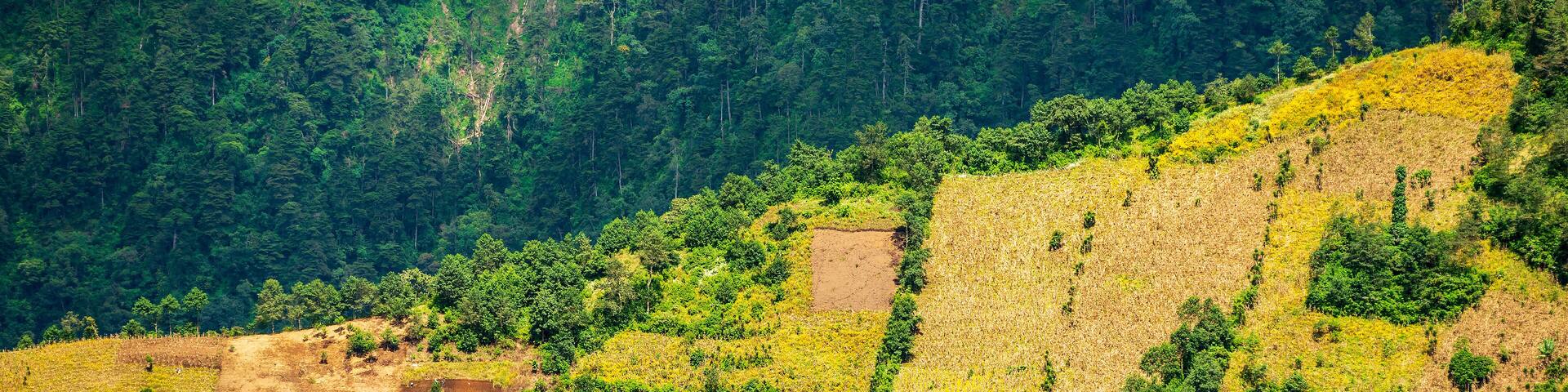 Hillside farming in Guatemala on steep ridges in patchwork shapes