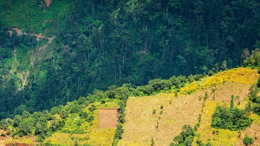 San Pedro Sacatepéquez
