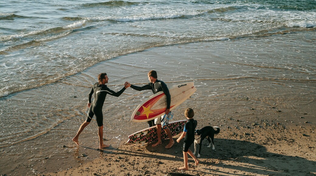 South Port Beach which includes general coastal views, a beach and surfing