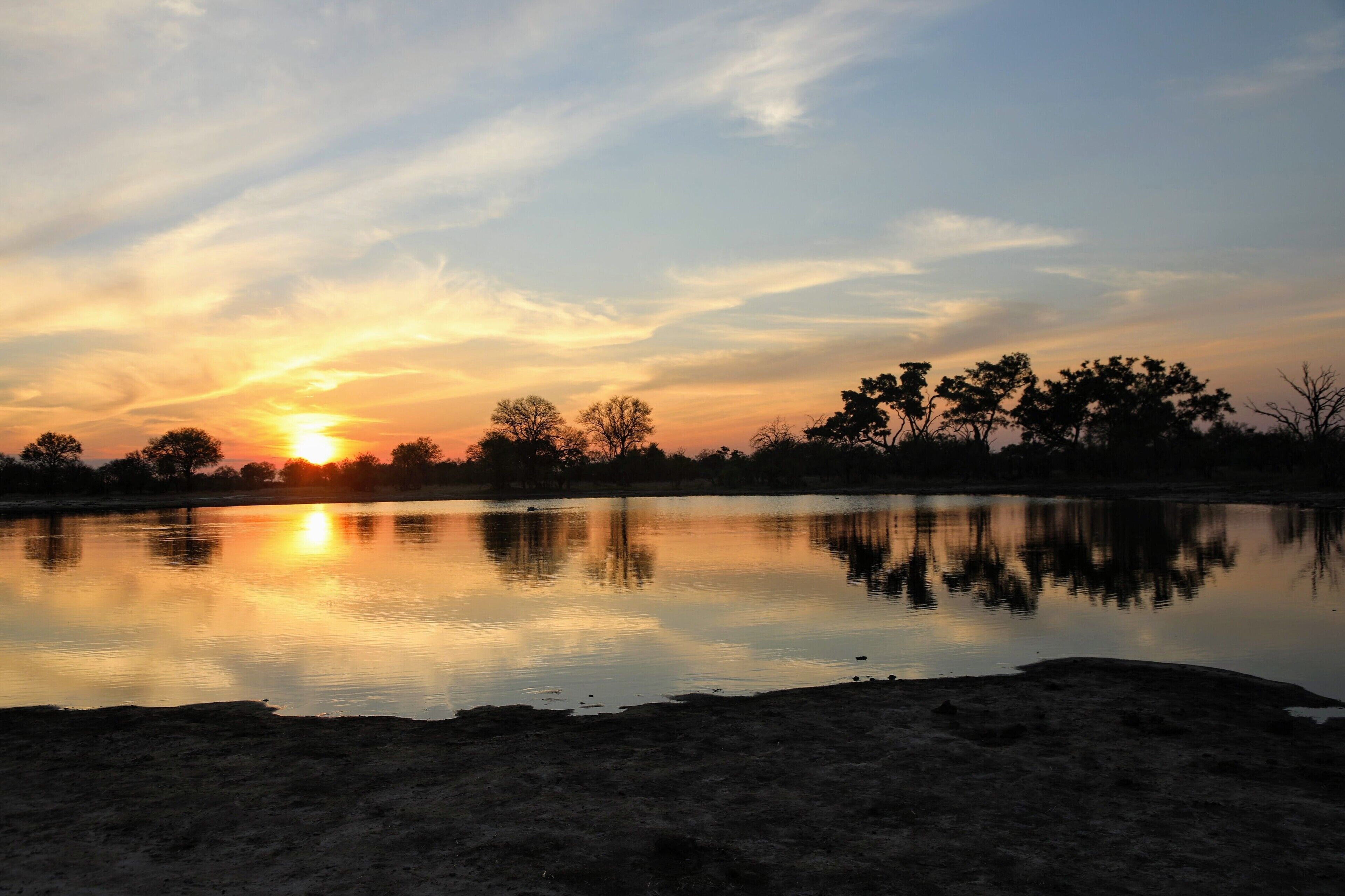 
Sunsets with hippo's I took a cubic ton of this watering hole as the sun was setting it was just very beautiful. I think the resident hippo was not as happy with me being there as I was with him being there. This was in Zimbabwe and if you are bored and want to read about my time there its at 
http://circlingthebucketlist.com/index.php/2018/12/04/zimbabwe-hwange-and-camelthorn-lodge/