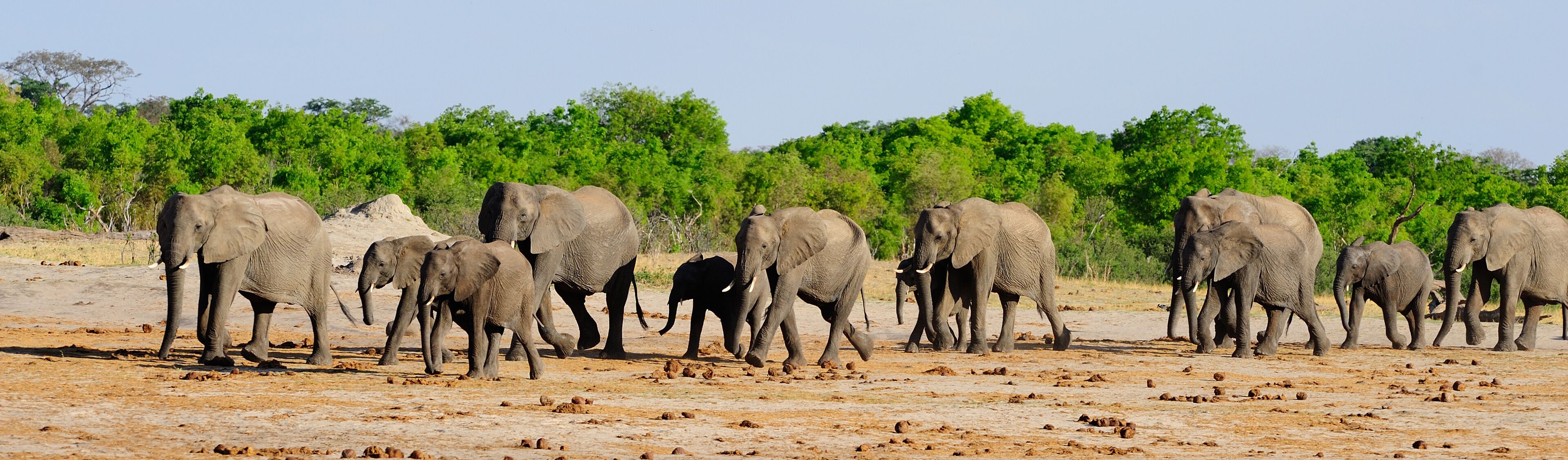 Parque Nacional de Hwange