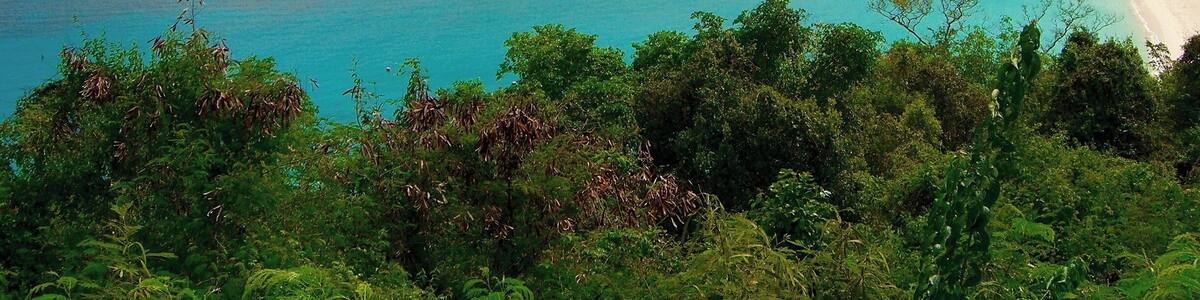 A tropical beach with turquoise waters, small islands, and lush greenery.