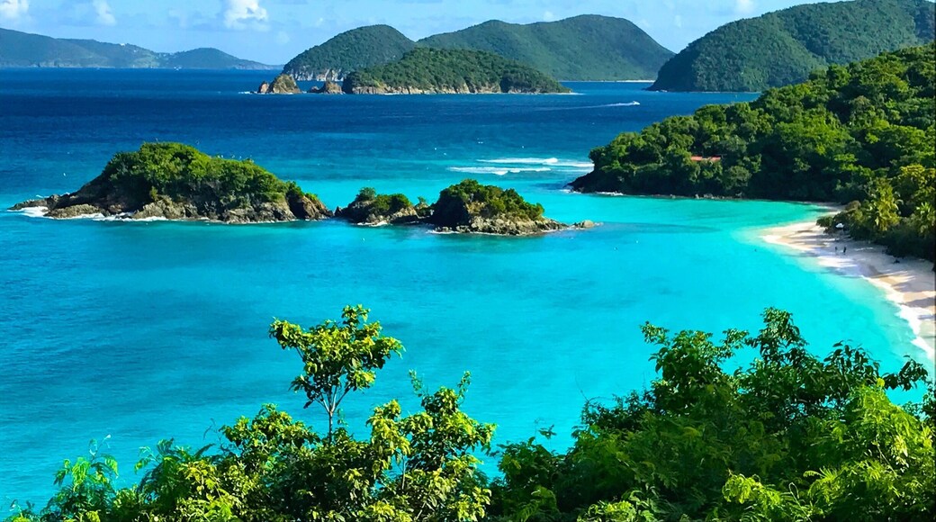 A beautiful November day overlooking the bay.