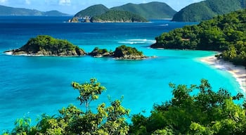 A beautiful November day overlooking the bay.