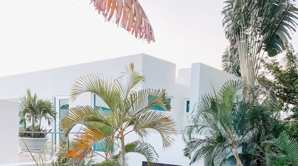 Greece vibes ... seriously so beautiful