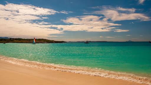 موندايز باي