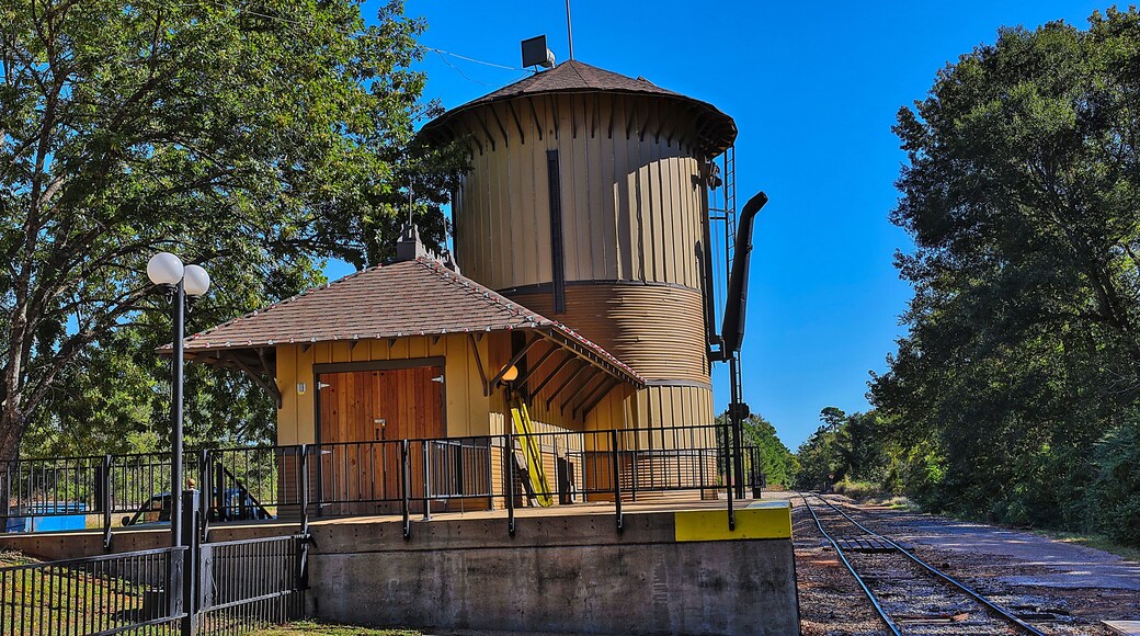 Texas State Railroad: Palestine Depot