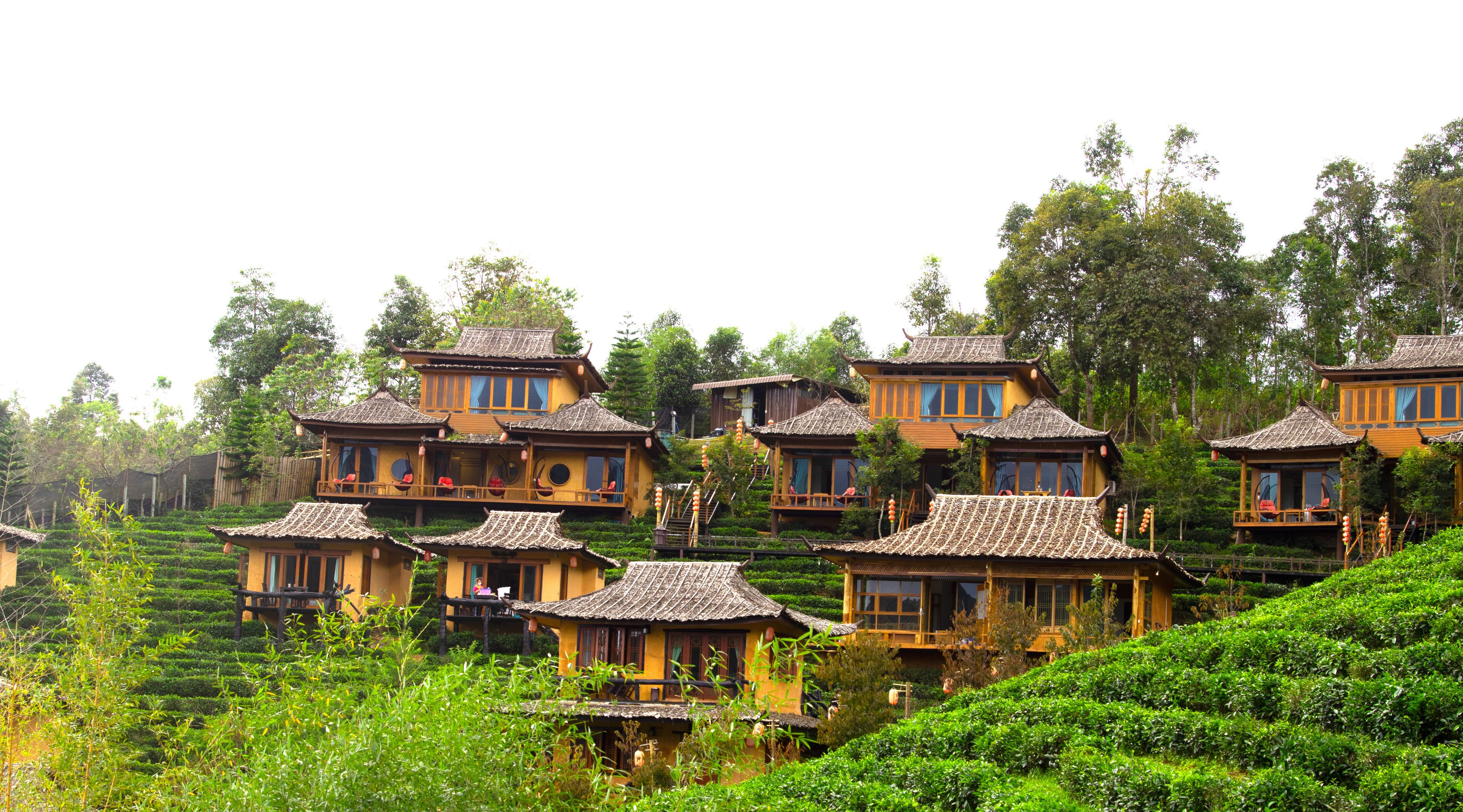 Maehongson, Thailand. - February 2, 2022 : Lee Wine or LeeWine Lodging houses among the tea plantation on the hill slope at Ban Rak Thai (Thai loving village), Mae Hong Son province, Thailand.