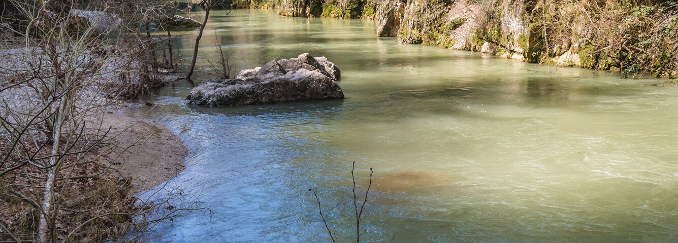 Un río serpentea por un área boscosa con orillas rocosas y árboles frondosos.