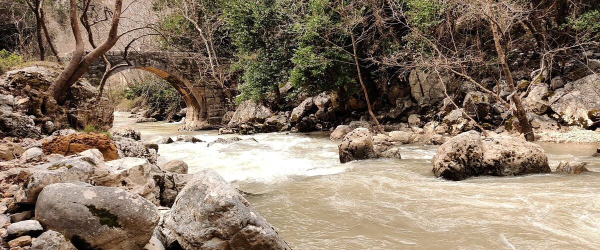 A river with rocks and a stone bridge.