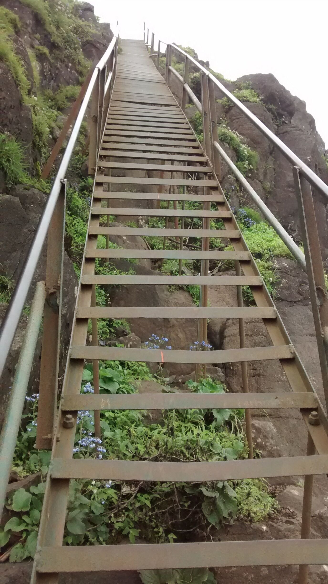 Final ascent to the highest peak in Maharashtra