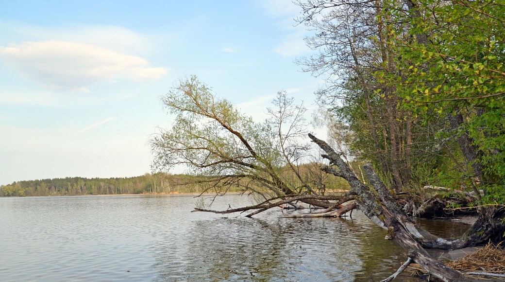 District de Nesterovsky