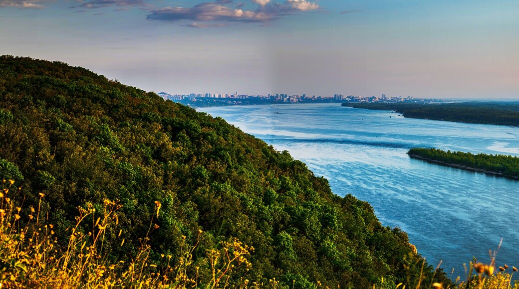 District de Saratovsky