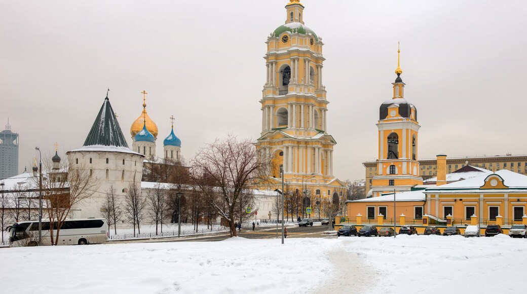 District de Novospassky