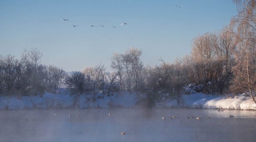 District de Sovetsky