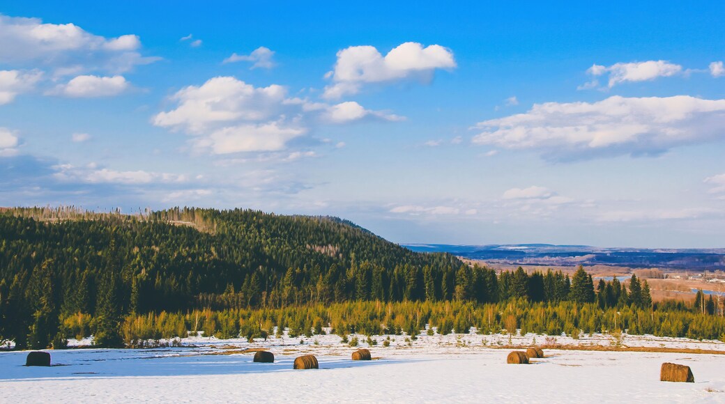 landscape with blue sky, clouds, hills, coniferous forest and haystacks in the field on a sunny April day at Ust-Kishert village, Kishertsky district, Perm regoin, Russia
