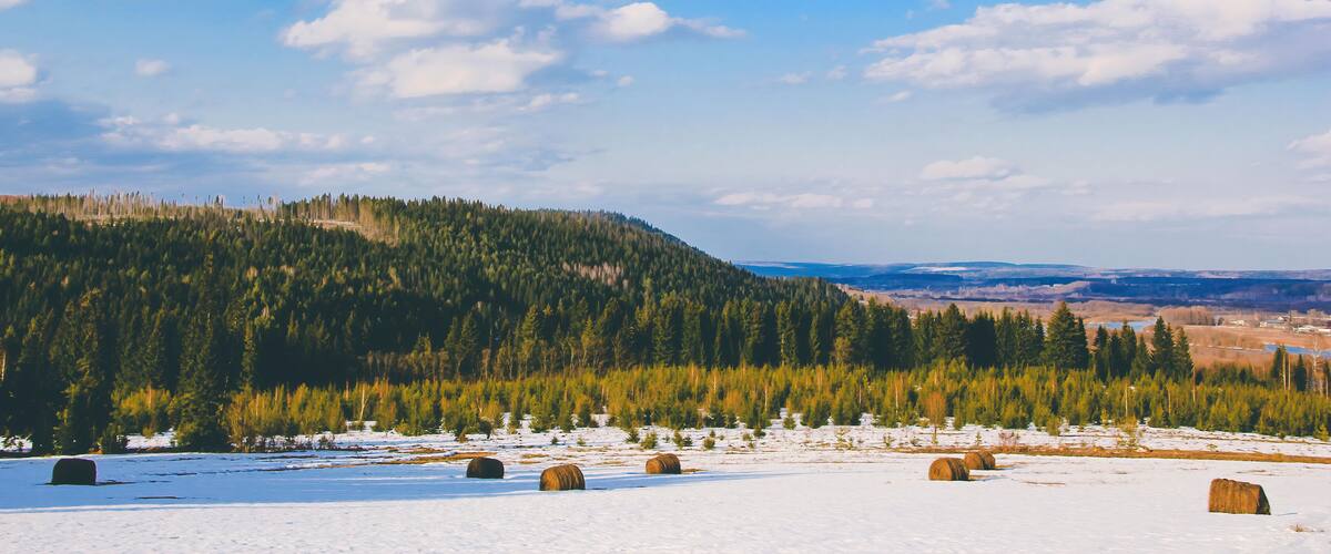 landscape with blue sky, clouds, hills, coniferous forest and haystacks in the field on a sunny April day at Ust-Kishert village, Kishertsky district, Perm regoin, Russia