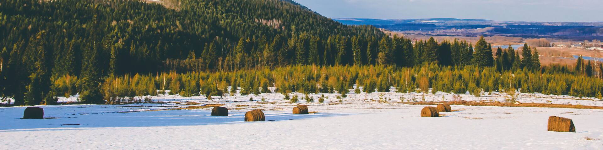landscape with blue sky, clouds, hills, coniferous forest and haystacks in the field on a sunny April day at Ust-Kishert village, Kishertsky district, Perm regoin, Russia