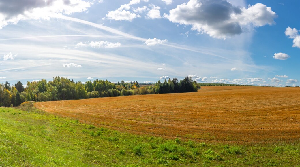 District de Zavyalovsky