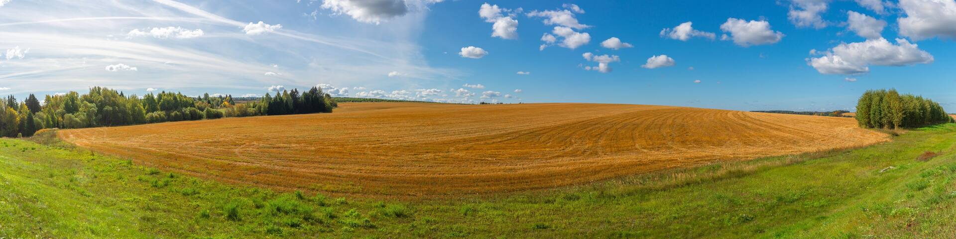 Panorama of the field after harvesting grain. Zavyalovsky district, Udmurt Republic, Russia.