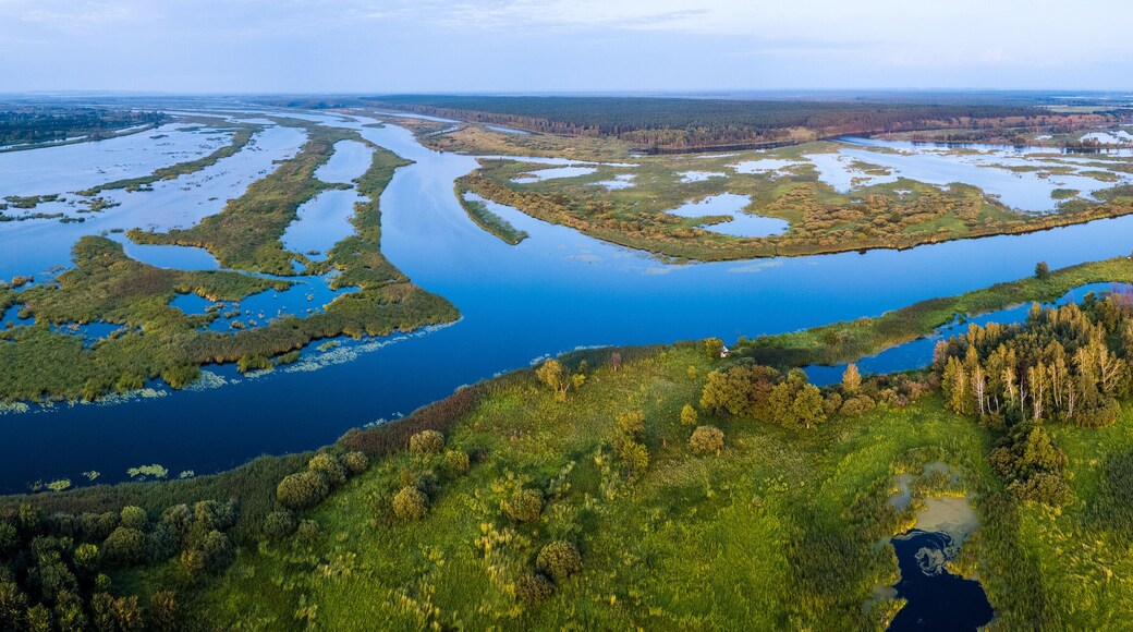 District d'Almetyevsky