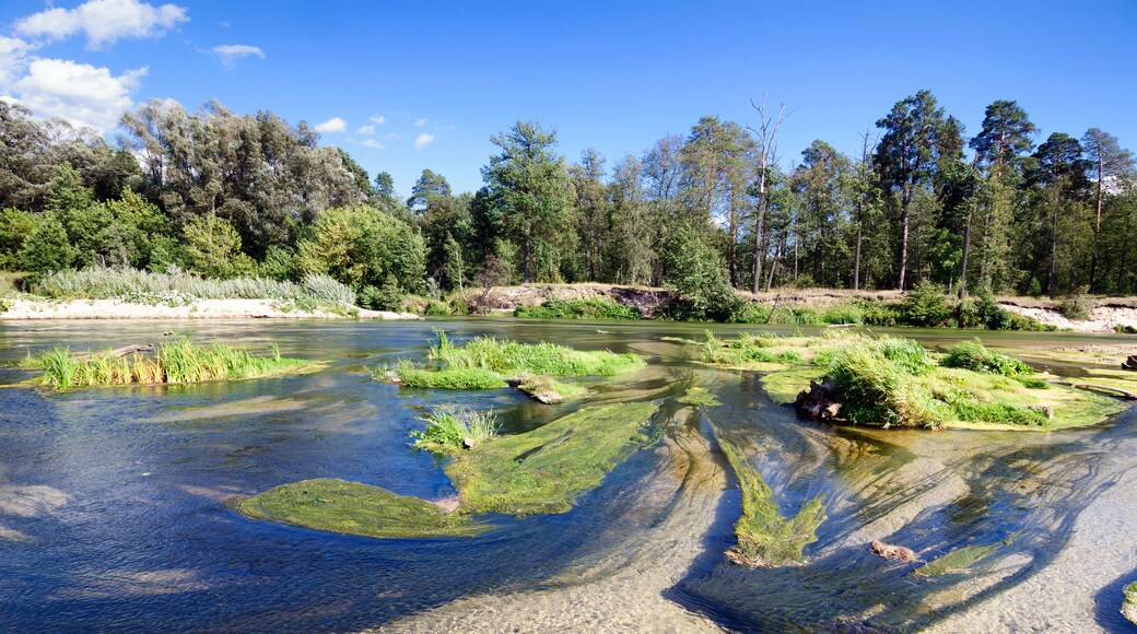 District de Kuzhenersky