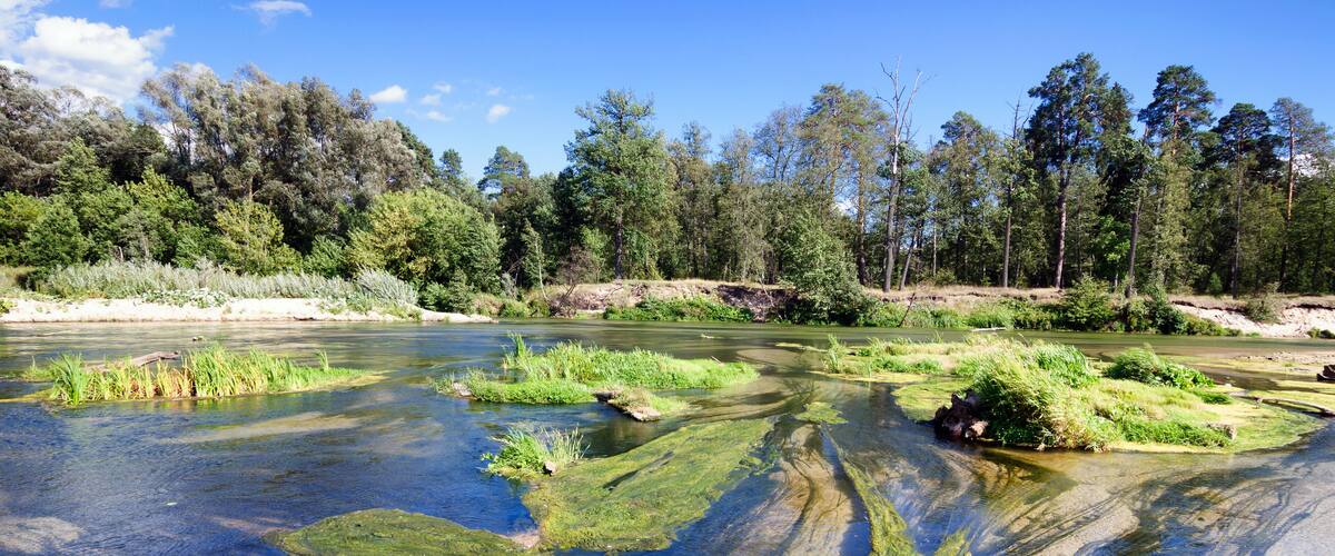 Shallow water on the Ilet river, Mari El Republic.