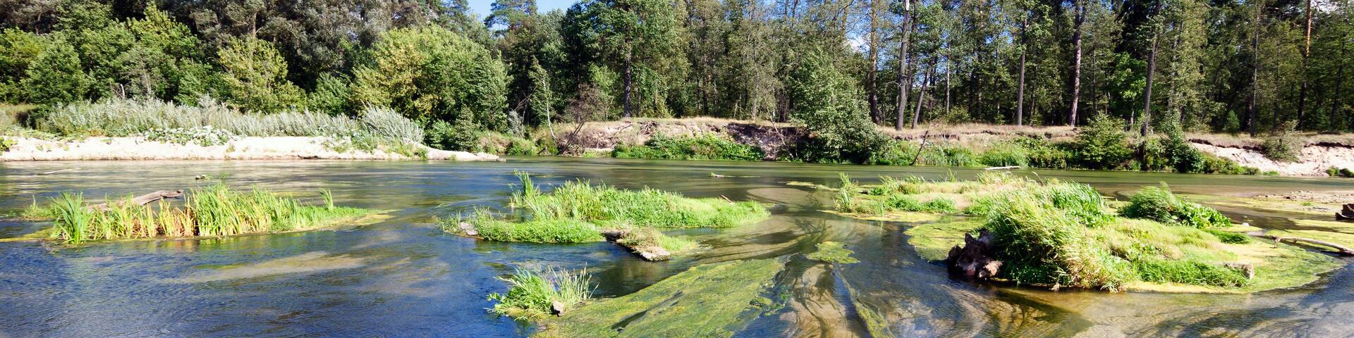 Shallow water on the Ilet river, Mari El Republic.