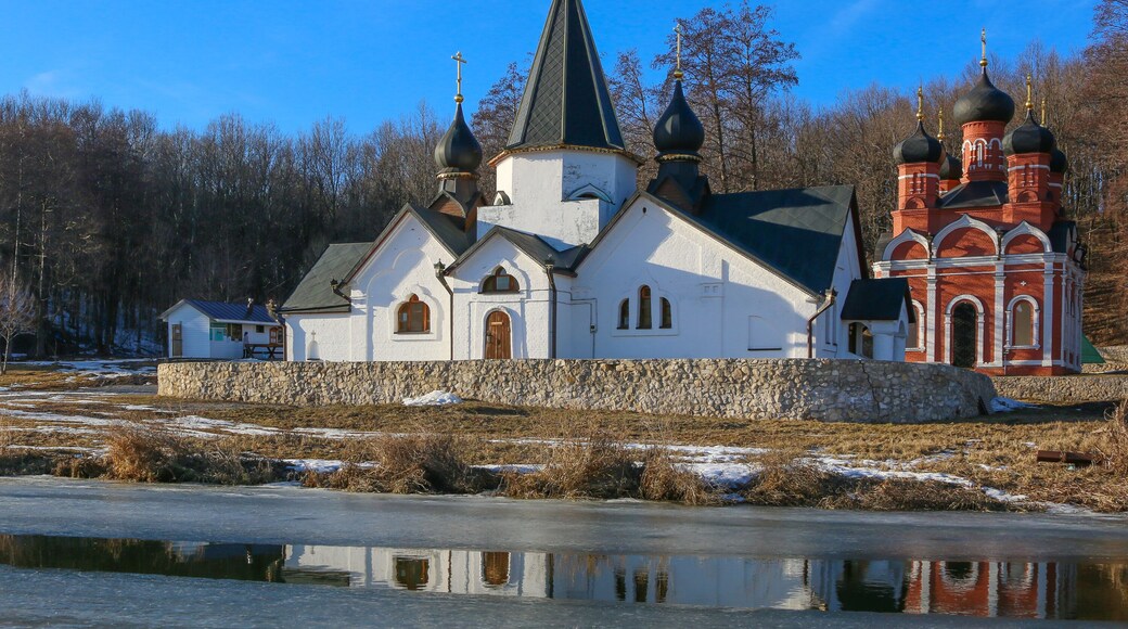 District de Atyashevsky