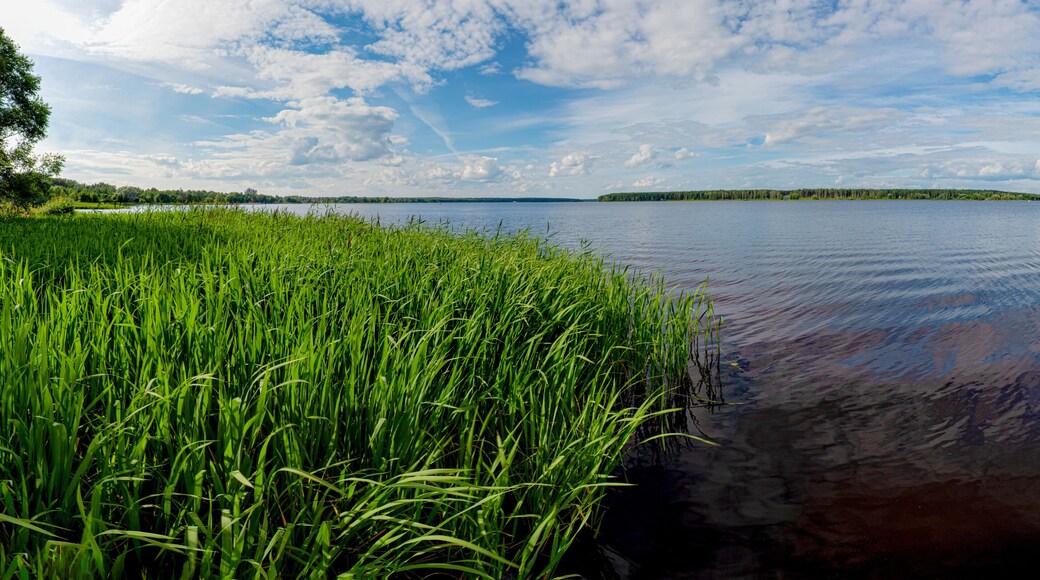 District de Kameshkirsky