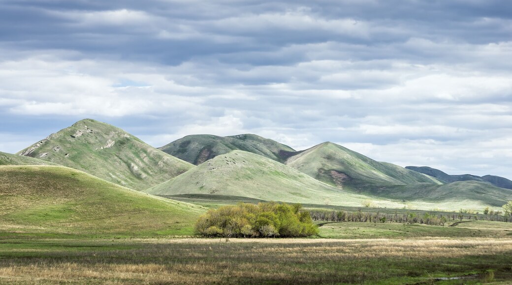 District de Saraktashsky