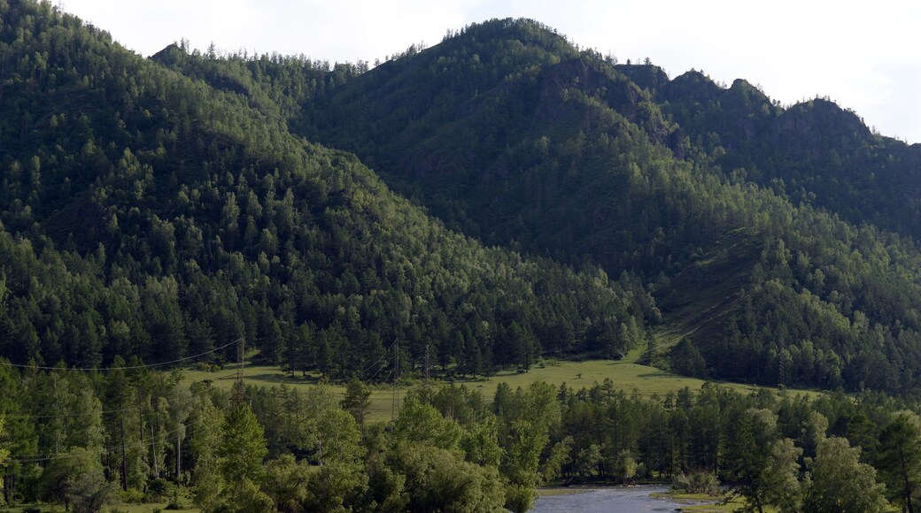 District de Syumsinsky