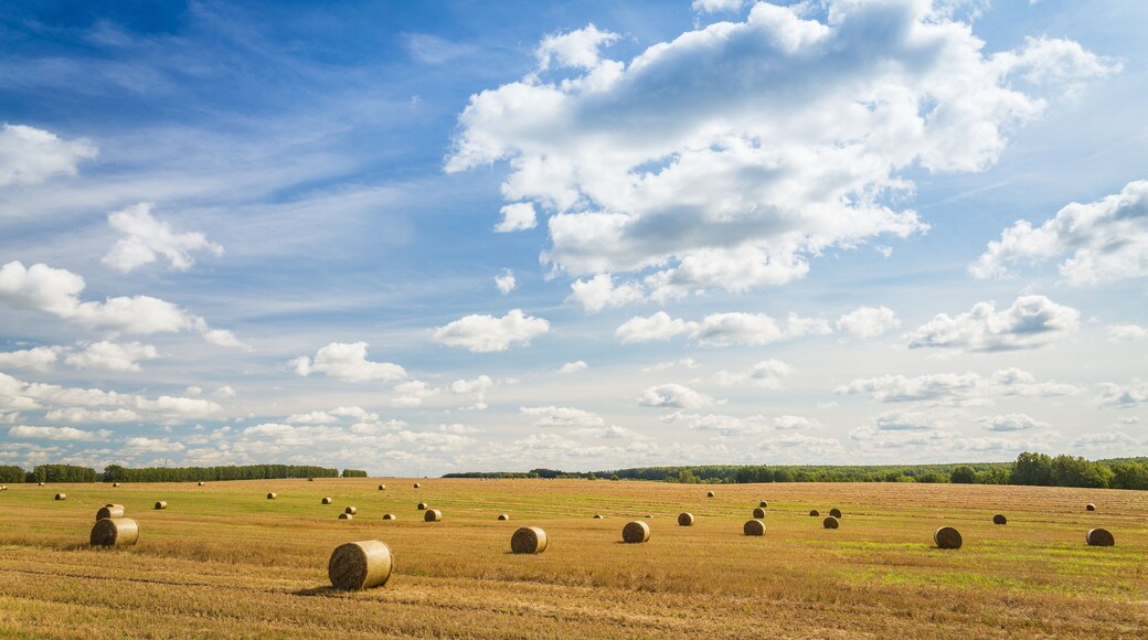 District de Koverninsky