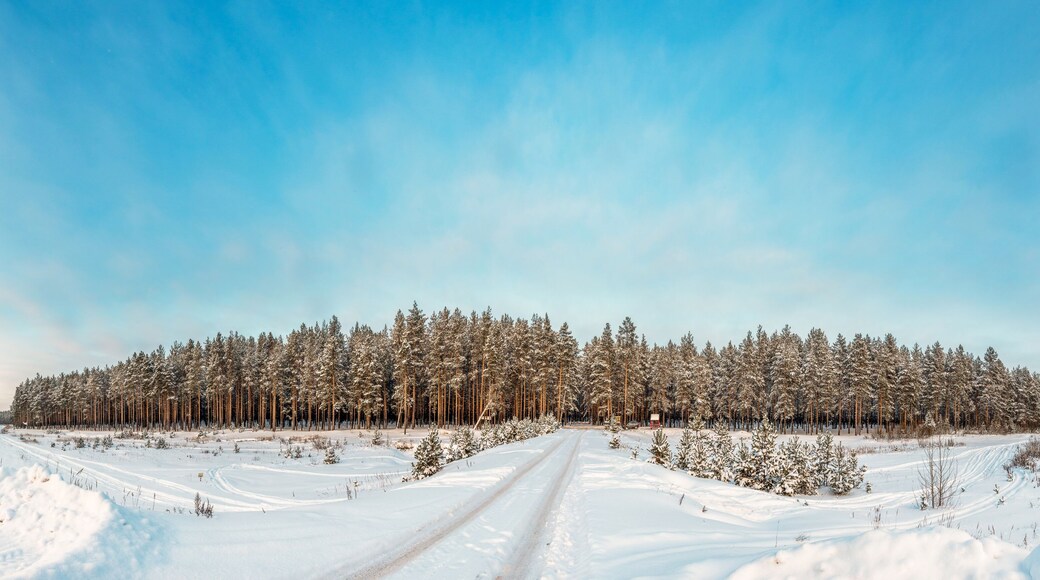 District de Belokholunitsky