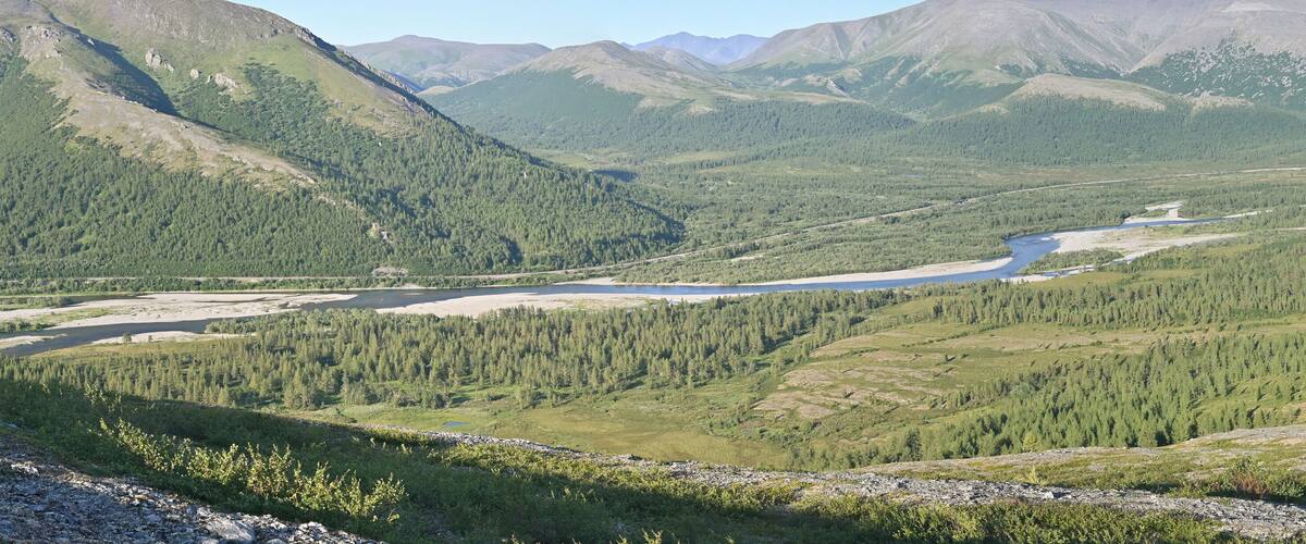 Summer in the Polar Urals.