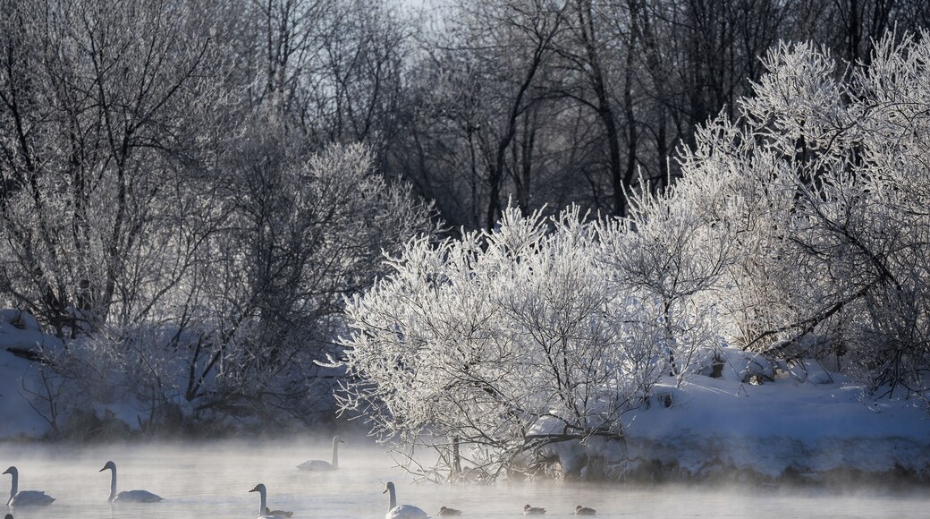 Distrito de Sovetsky