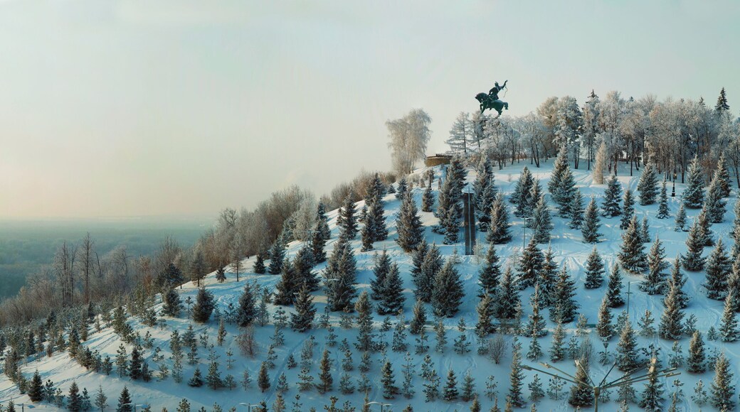 District de Karaidelsky