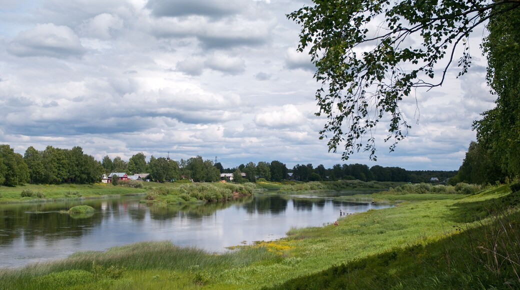 District de Chelno-Vershinsky