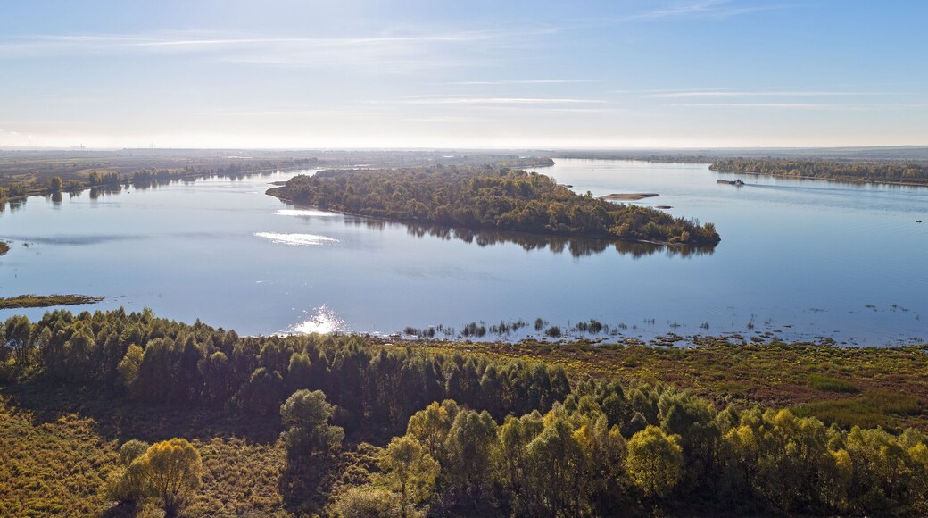 District de Leninogorsky