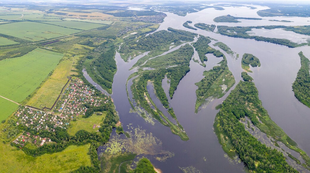 Distrito de Rtishchevsky