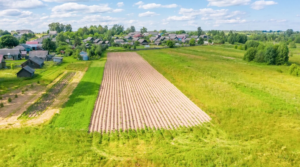 Beautiful small green village and a plowed field nearby summer from above.