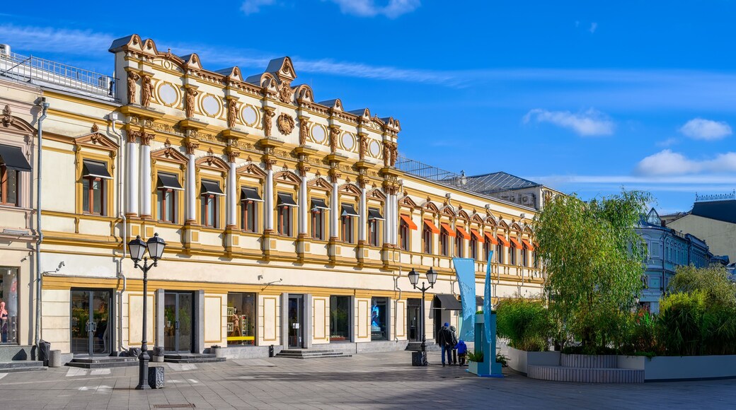 Distrito de Kuznetsky