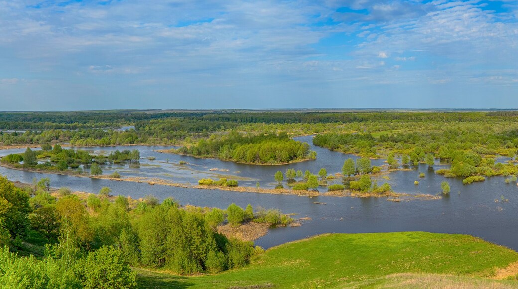 District de Murashinsky