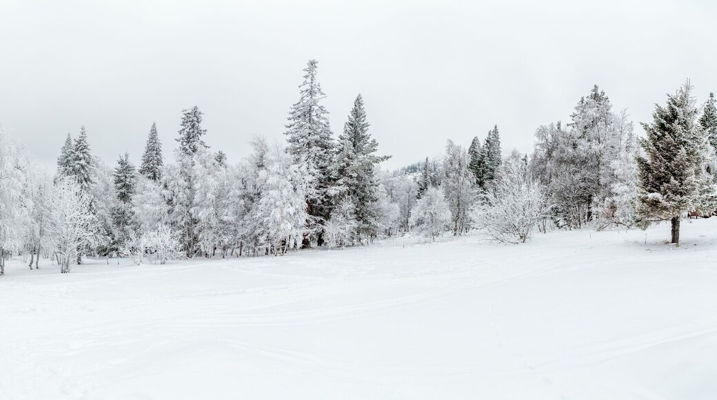 District de Bredinsky