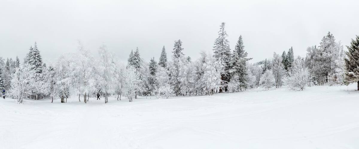 Winter landscape. Taganay national Park, Chelyabinsk region, South Ural, Russia